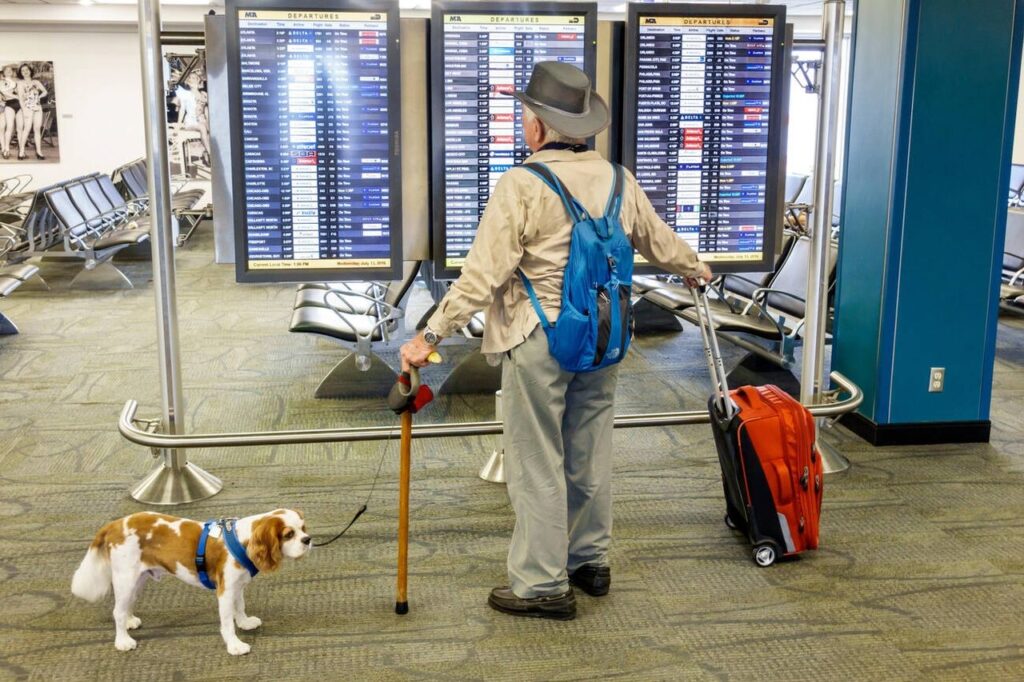 pets airport belgrade